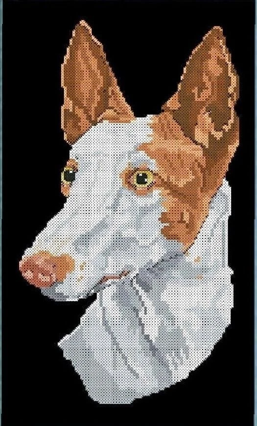 IBIZAN HOUND COUNTED CROSS STITCH PATTERNS - Image 2 of 3
