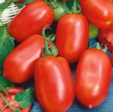 Tomato ROMA Paste Italian Determinate Heirloom Slicing USA Non-GMO 100 Seeds