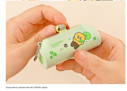 Kakao Friends Docking Auxiliary Battery Roll Cake & Clover Choonsik 8 Pin Type C - 第 23/27 張圖片