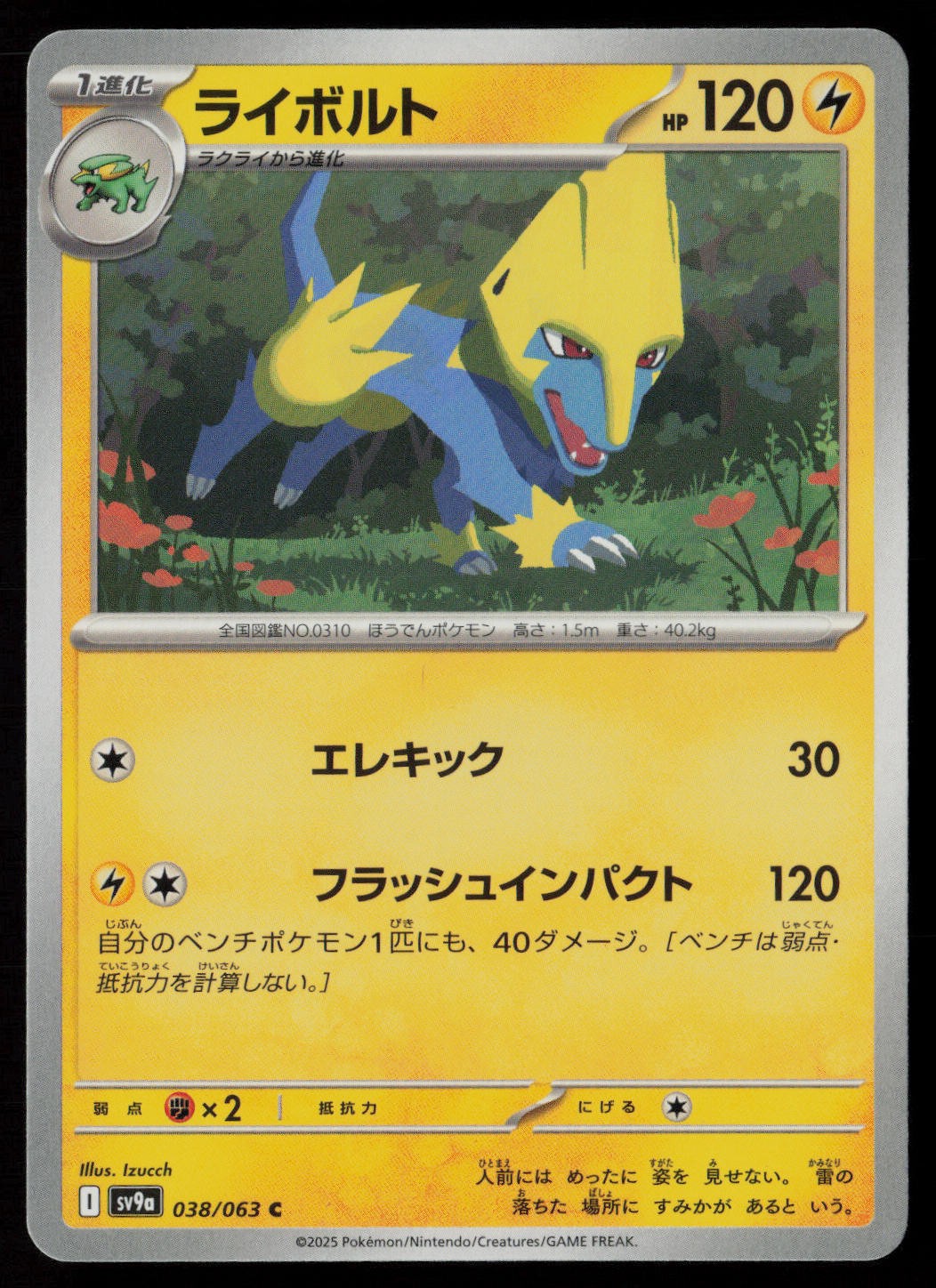 Manectric 243/742 Pokemon Starter Deck 100 Battle Collection Japanese Near Mint