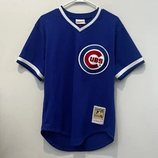 Ryan Sandberg Chicago Cubs Mitchell & Ness Cooperstown Collection Jersey Youth M