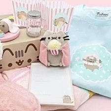 RARE Pusheen Box Rare Winter 2021 BOX. XL