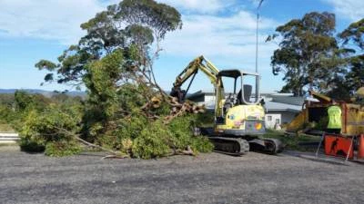 jeff s tree service jeff pearce tree services landscaping gardening gumtree jeff s tree service jeff pearce tree services landscaping gardening gumtree