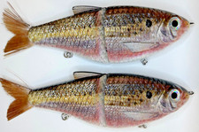 TYG Silencer Merica Shad Glide bait swimbait custom 7 inch Lot of 2 NEW