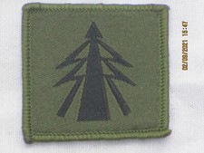 Infantry Reconnaissance Platoon, RECCE,TRF,Patch,ohne Klett, 45x45mm