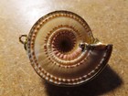 Unique 10K Gold Accented Bohemian Shell Pendant; About 1.75" Long; 9.5 grams — photo 2
