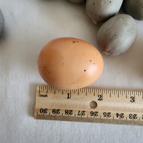 Easter/Decor Robin Eggs. 1-1/2", Blue And Yellow From Fantastic Craft. 128 Eggs. - 第 9/9 張圖片