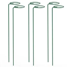 6pcs 16" Plant Support Stakes Garden Flower Vegetable Single Stem Support Stake