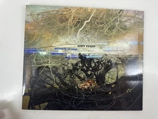 Buckets of Rain Judy Pfaff 2006 Softcover Art Book w/ Disc GC