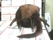 Vintage  Mink Fur Hand Warmer