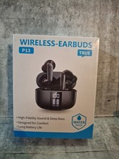 P13 True Wireless Earbuds