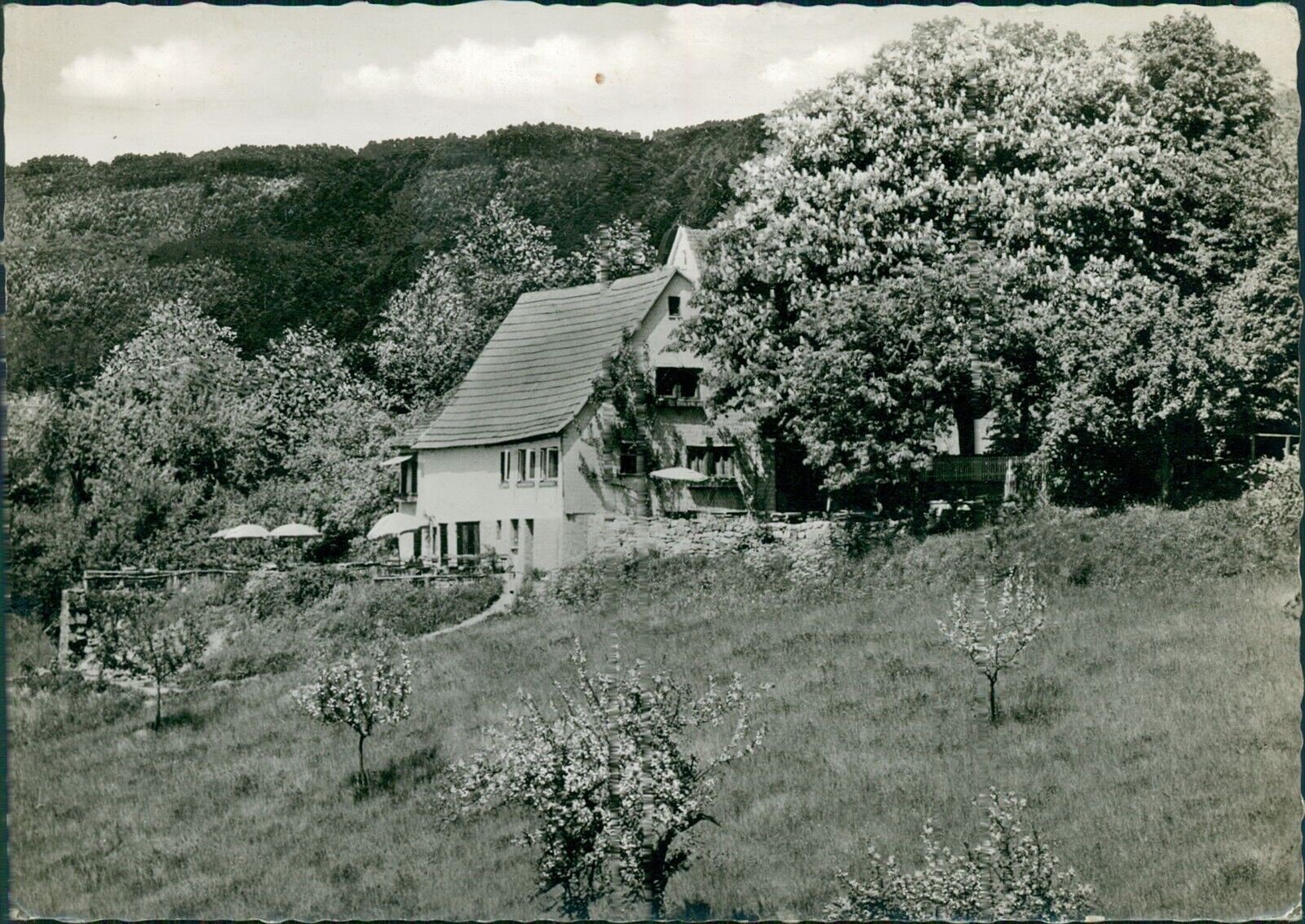 Postcard Waldmichelbach Odenwald inn stable candel (-III
