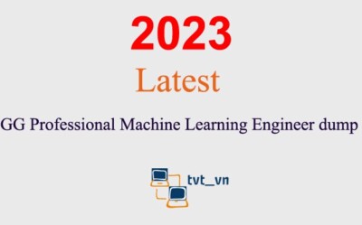 GG Professional Machine Learning Engineer Q&A GUARANTEED (1 month update)