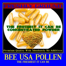 BEE POLLEN HONEY Raw No Additives Energy Protein Enzymes B Complex 100 Capsule