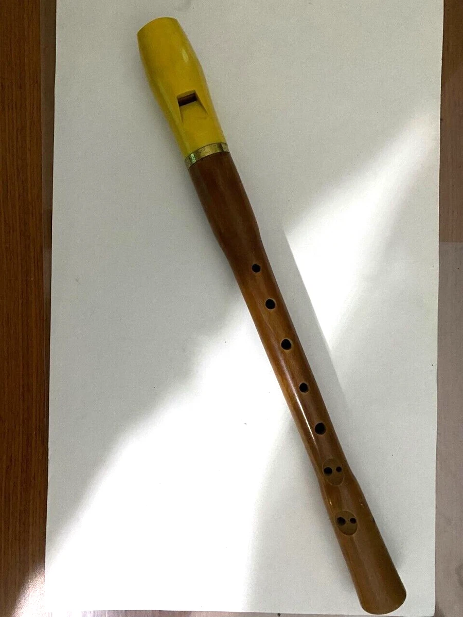 Vintage Hohner Dark Wood Recorder Flute Made in Germany eBay