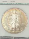 2000 Walking Liberty American Eagle 1oz Rainbow Toning
