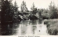 Greetings from Whitehall Michigan postcard PC 5.4