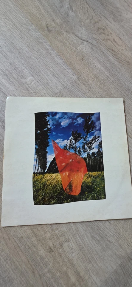 Pink Floyd Wish You Were Here · Lp · 1975, Foto 3 von 5