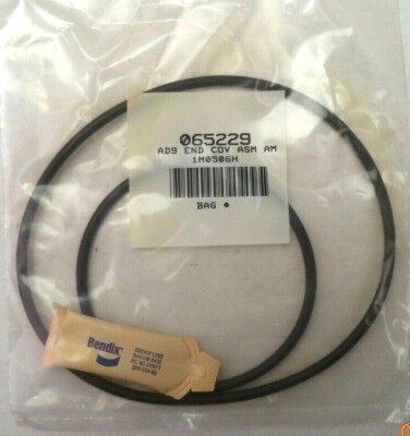 Bendix O-Ring Kit for AD9 Dryers pn 065229