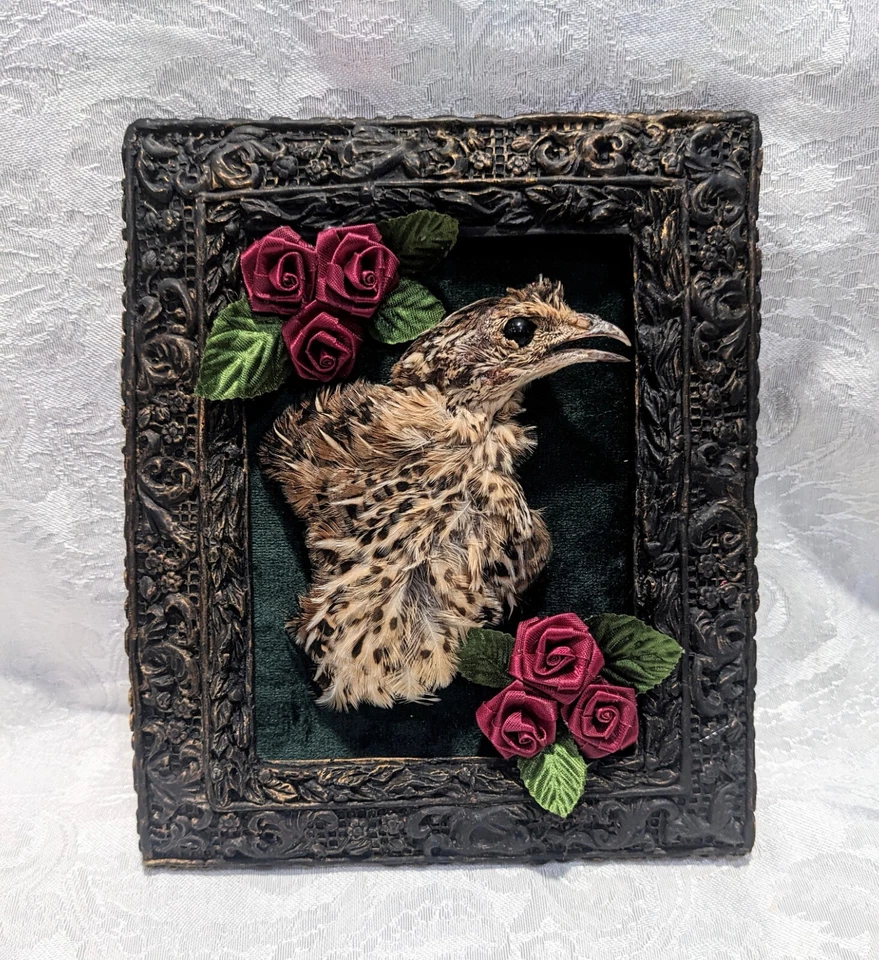 Настоящий перепел на темно-зеленый бархат в переработанной винтажной раме с шелковыми розами - Изображение 2 из 4