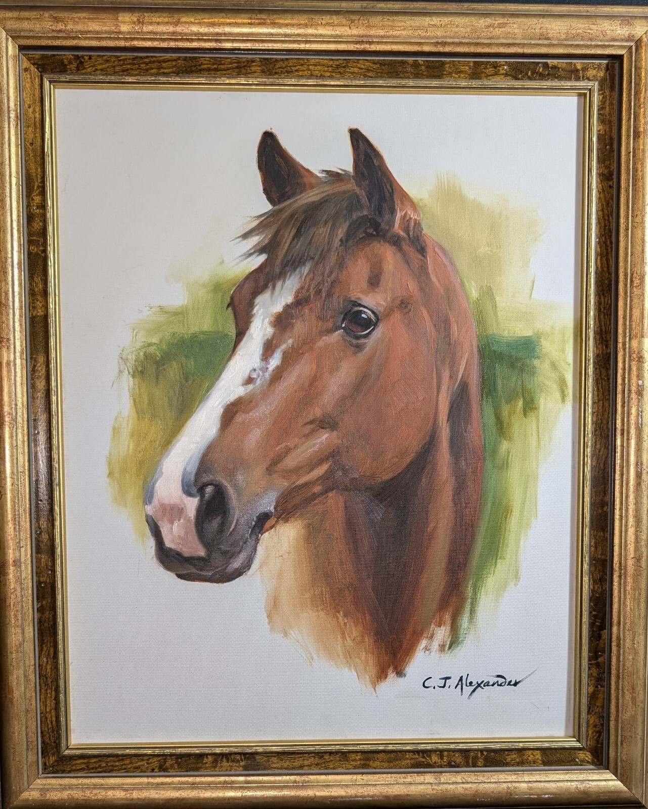 Vintage "Horse Study" Oil Vignette Signed C.J. Alexander *Signed Frame As Well
