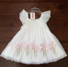 Biscotti Ivory Floral Tulle A-Line Dress 24M Girls Party Sleeveless Knee Length
