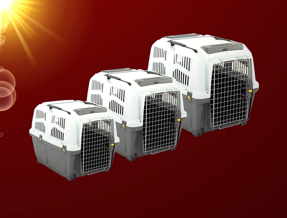 Hunde 3 Größen 🐶 SKUDO IATA TRANSPORTBOX AUTOBOX Urlaub Reise Flugbox Hundebox - Bild 2 von 4