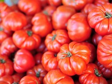 Beefsteak Tomato Seeds 30  Heirloom  Non-GMO  INDETERMINATE