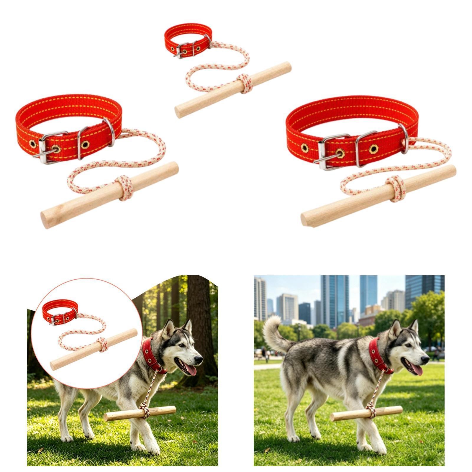 Dispositivo di contenimento anti-inseguimento per cani, accessorio per