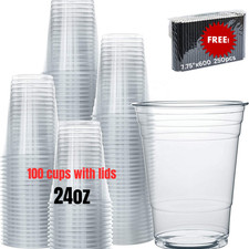 Disposable Plastic Cups, Clear PET Cups 100ct 24oz with Lids  100 Paper Straws