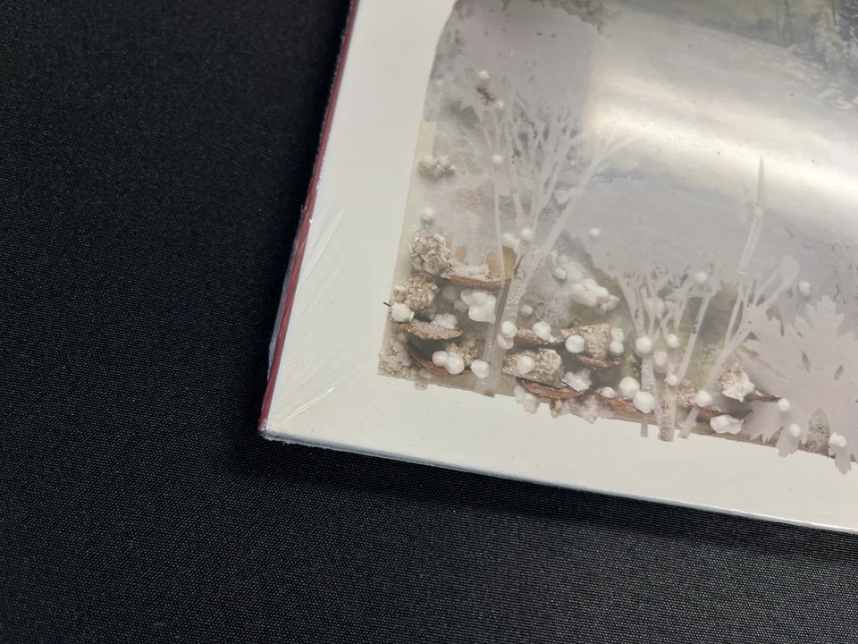 Bon Iver, Bon Iver 2013 Vinyl LP M/M Reissue White Vinyl Newbury Comics Edt - Image 4 of 4