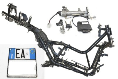 RAHMEN MIT DOKUMENTEN UND ZÜNDSCHLÜSSELSATZ SYM JOYMAX 300 EVO 2008 - 2013 5010