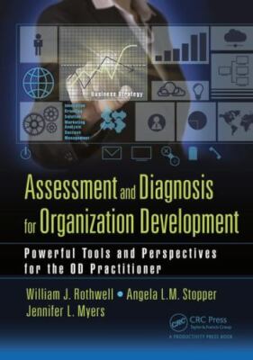 Assessment and Diagnosis for Organization Development : Powerful Tools and Pe...
