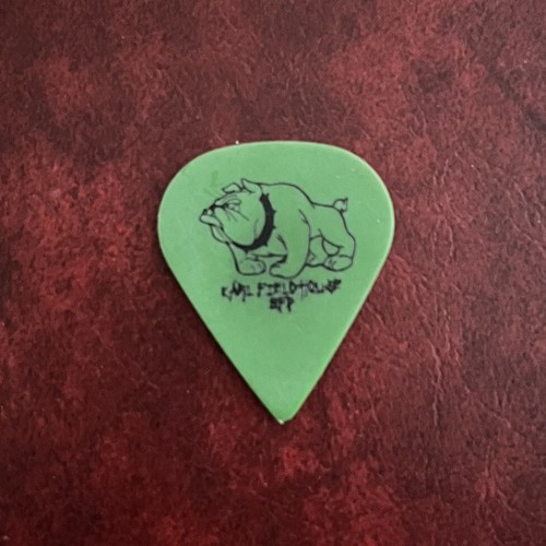 BORN FROM PAIN Karl Fieldhouse 2006 stage used tour guitar pick GitarrenPlektrum - Imagen 2 de 2