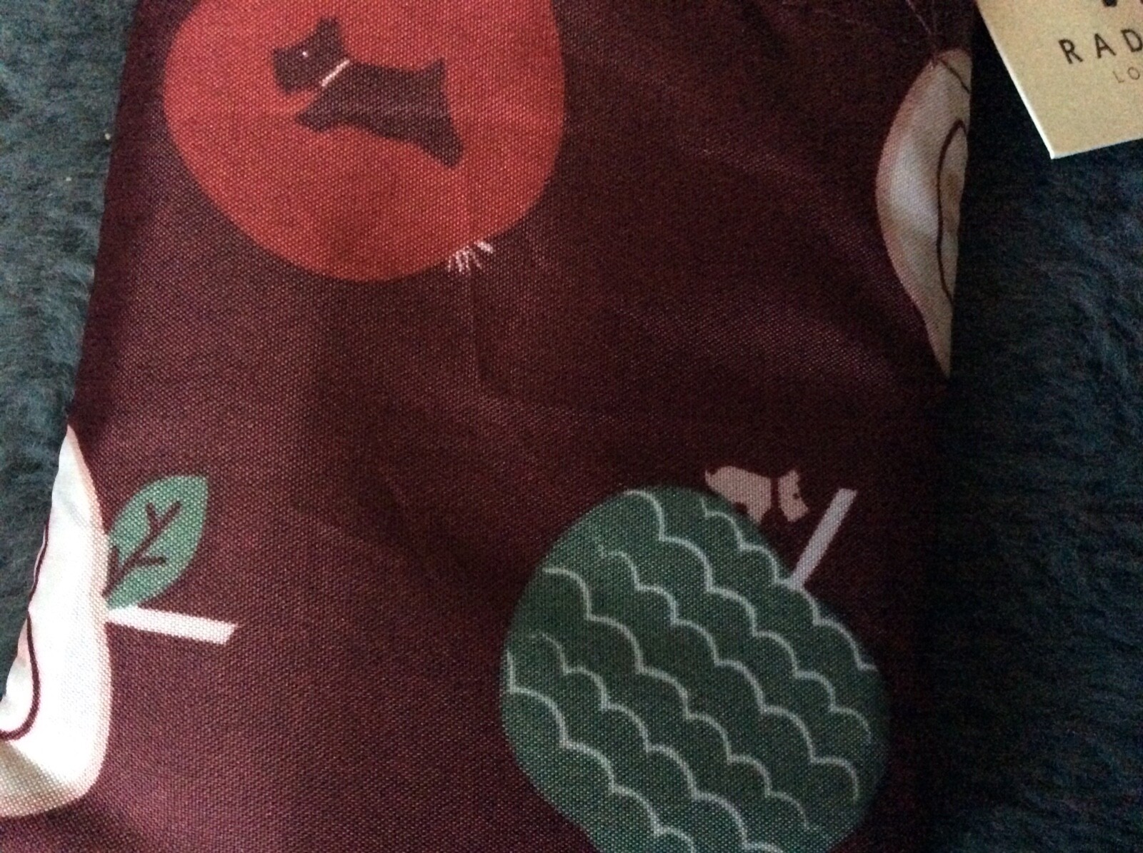 BNWT New Radley An Apple A Day Foldaway Shopper Bag In Pouch - Recycled Fabric