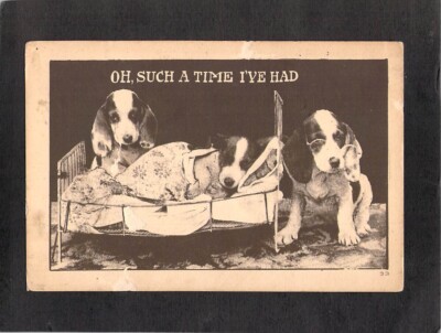 B9661 Animals Dog Humour Such a Time I've Had c1920 vintage postcard