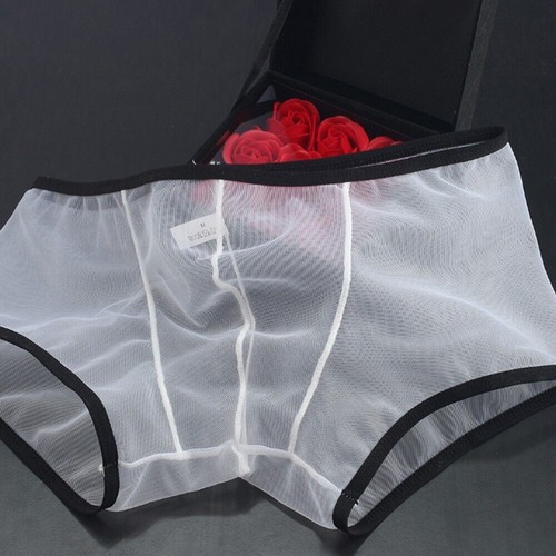 Para hombres Sexy Malla tiro bajo para calzoncillos boxer ropa interior bragas para hombres azul M 2XL - Imagen 3 de 26