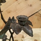 Picture 8 of 12