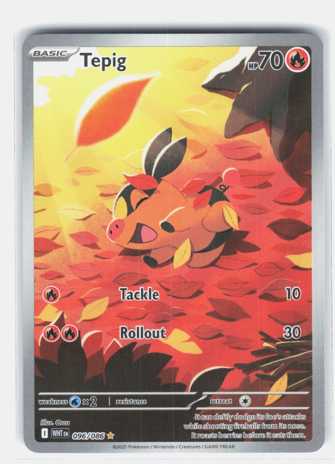 pokemon card online download Pokmon TCG Online for Android