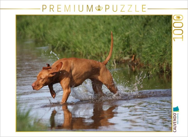 Calvendo Puzzle Hunting Fever | 1000 Pieces, Finished Size 25.2 × 18.9 In (64 ×-image