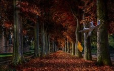 Landscape germany trees fall leaves fallen Custom Gaming Mat Desk