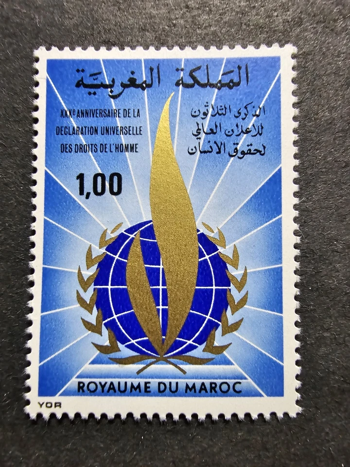 TIMBRE MAROC DÉCLARATION DES DROITS DE L'HOMME N°819 NEUF ** LUXE MNH 1978 - Photo 1/1