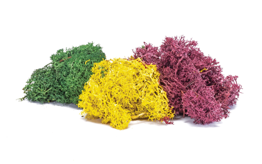 Hornby R7196 Lichen - Autumn Mix 35g OO Gauge