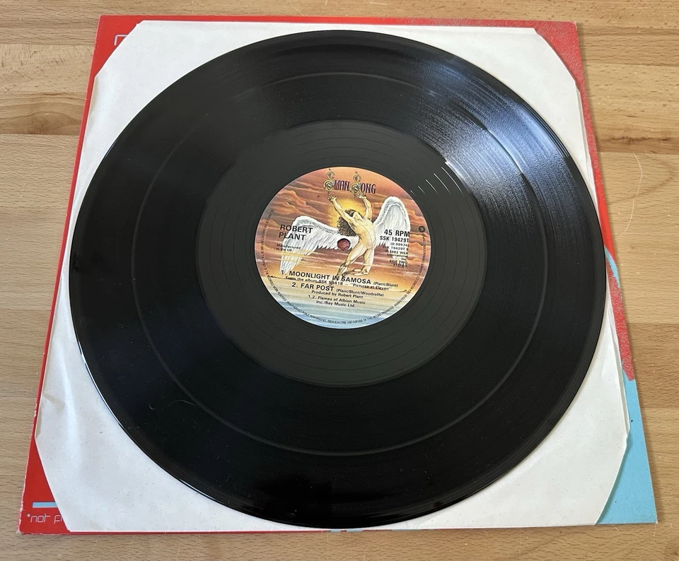 ROBERT PLANT Single Vinyl 12" 45RPM 1982 BURNING DOWN ONE SIDE SSK 19429K - Image 4 of 4