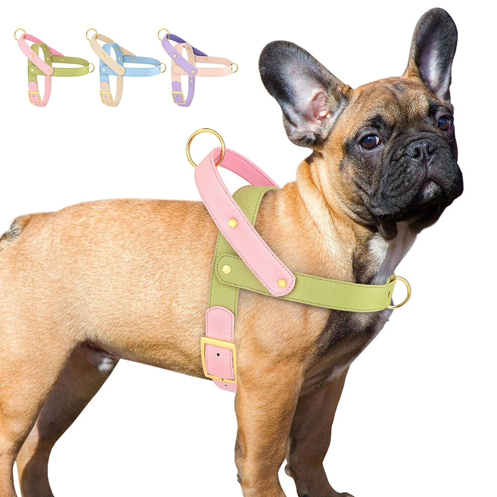 Padded leather dog clearance harness