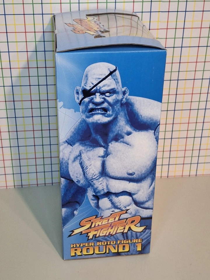 Figura Street Fighter EVIL RYU Hyper Roto Sota Japonesa Edición Limitada Numerada Foto 4 de 4