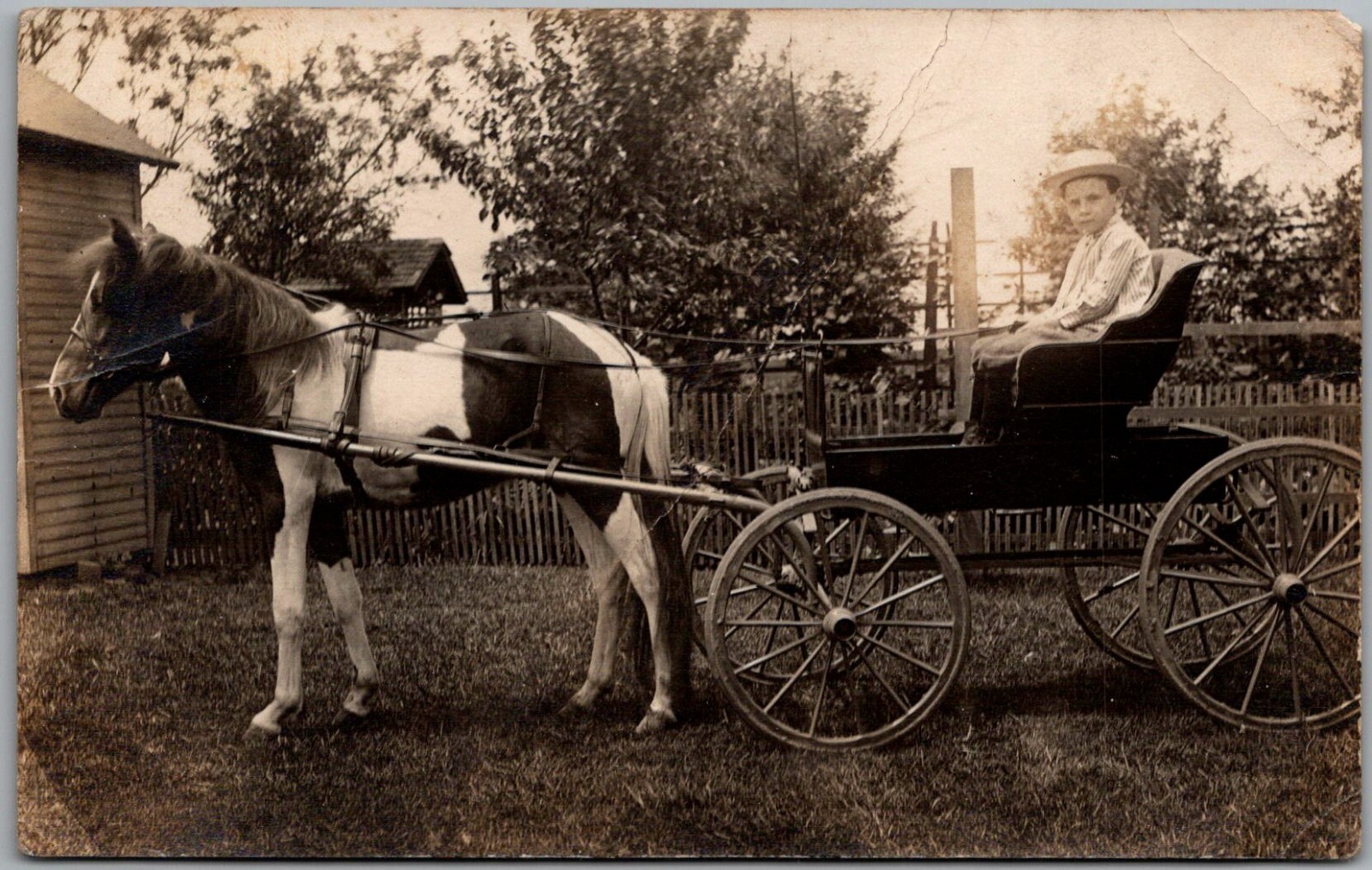 Cartolina Giovane ragazzo in cappello di paglia con passeggino disegnato cavallo pony maculato RPPC 1904 18 iK