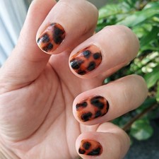 Color Street Bookworm Subscription Box Set