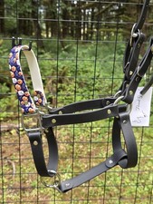 Biothane Horse Halter - Black With Blue Pumpkins- Average Horse Sized