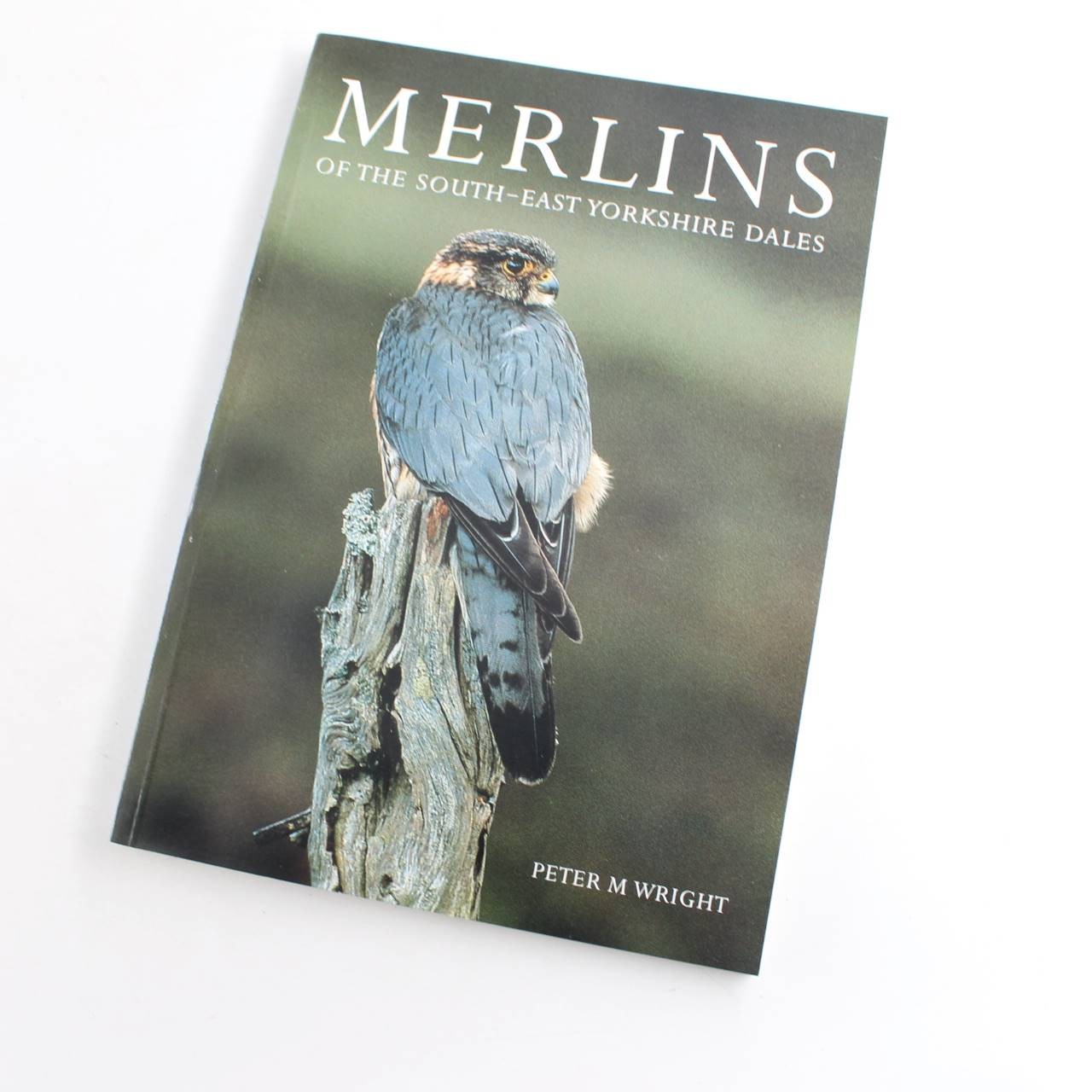 Merlins of the South-east Yorkshire Dales book by Peter M. Wright